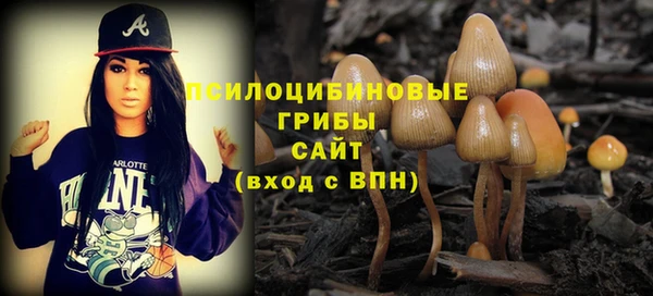 прущий лед Горно-Алтайск
