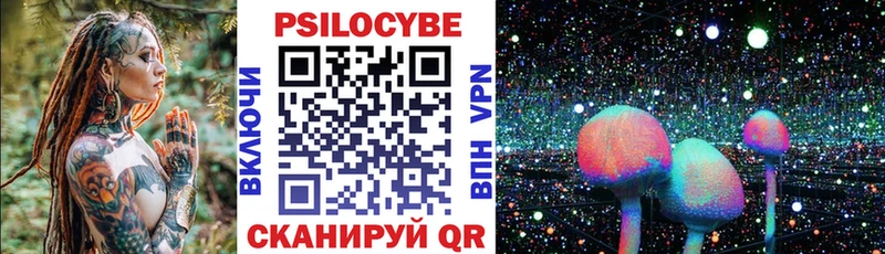 цены   Курск  Галлюциногенные грибы Psilocybe 