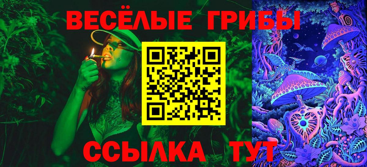 дарнет шоп  Вход с VPN  Курск  Галлюциногенные грибы Magic Shrooms 
