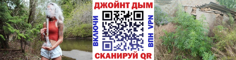 купить закладку  OMG маркетплейс  Бошки Шишки семена  Курск 